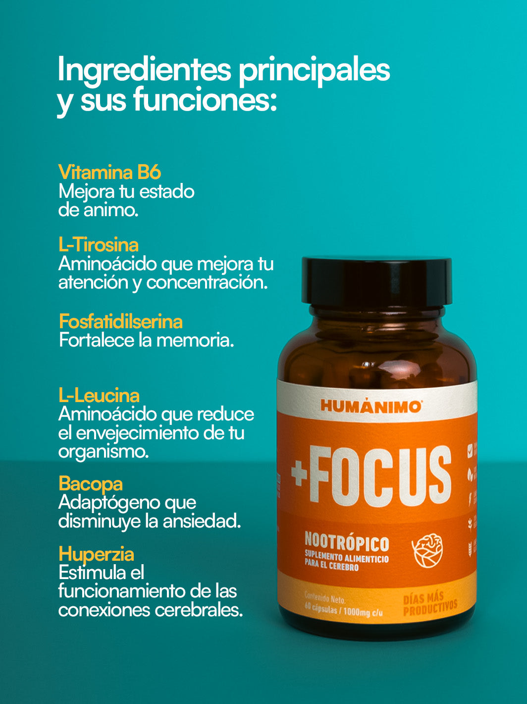 +Focus