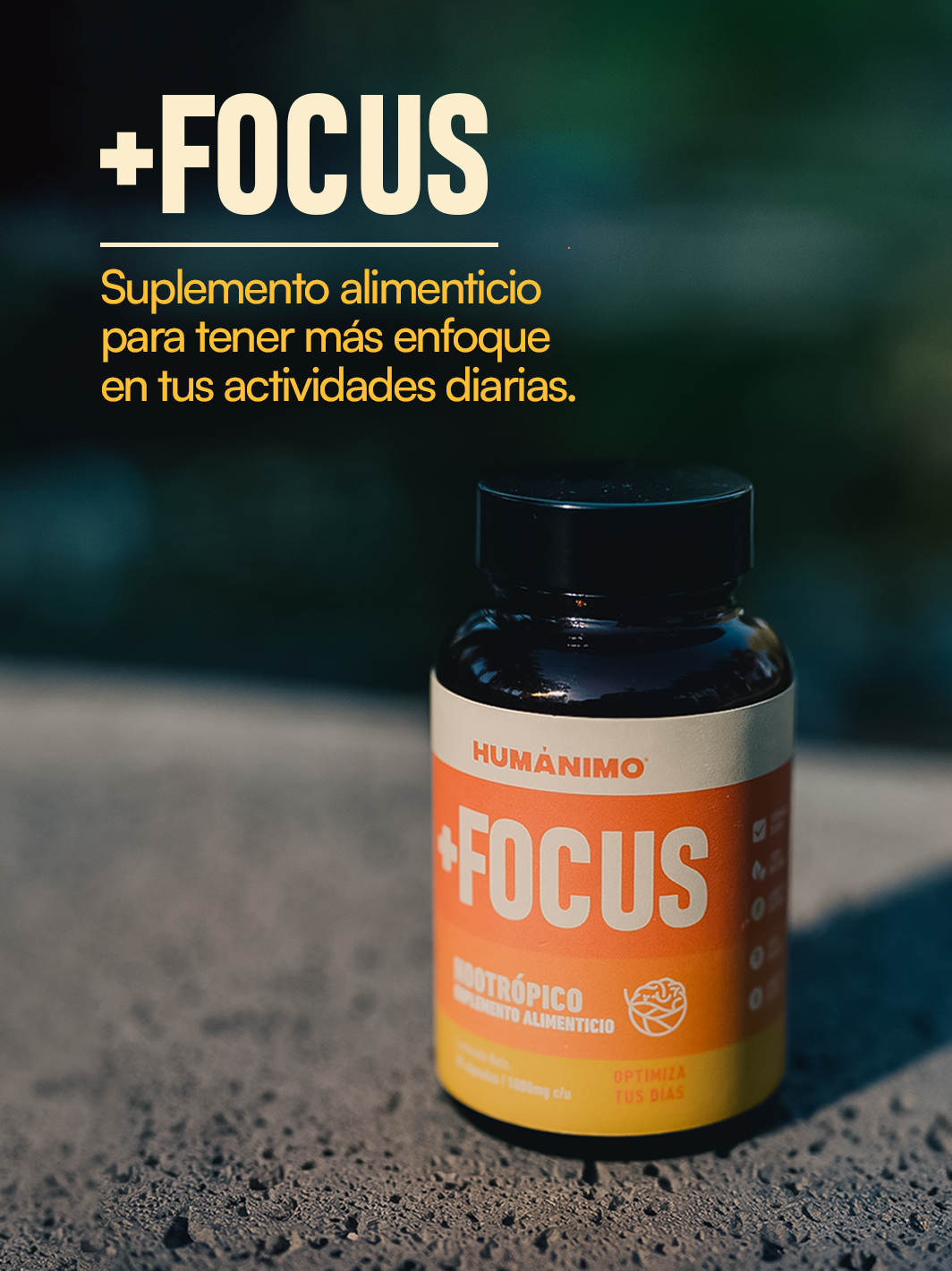 +Focus
